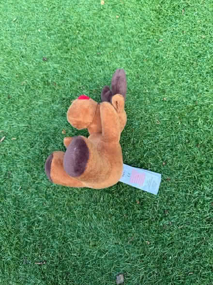 Photo of free Sweet Little Reindeer Plus (LU7 9ns) #1
