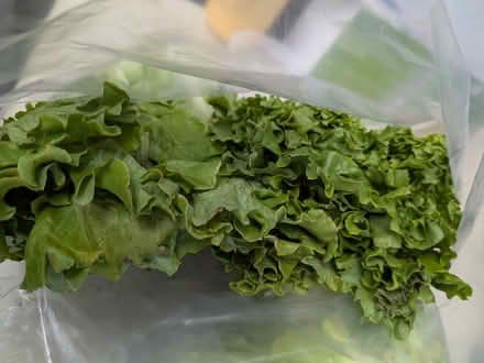 Photo of free Veggies for pets or people (Youngtown library) #4
