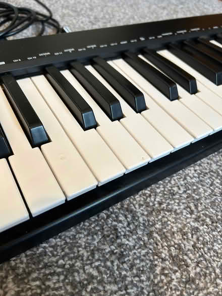 Photo of free MIDI keyboard (Bog Gate TW10) #2