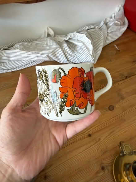 Photo of free Meakin poppy set (Willingdon) #4