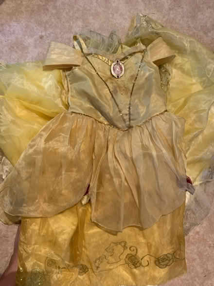 Photo of free Bundle princess dressing up outfits (Lifford, kings Norton B30) #3