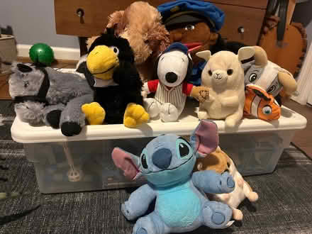 Photo of free Stuffie (Columbia Heights) #1