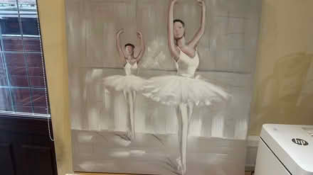 Photo of free Ballerina Canvas (Washington, Teal Farm, NE38) #1