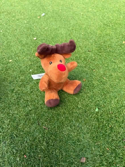 Photo of free Sweet Little Reindeer Plus (LU7 9ns) #2