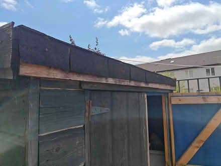Photo of free Garden shed to take away (Wicklow Town) #3