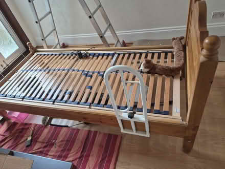 Photo of free Electric Adjustable Bed (Lewisham SE6) #3