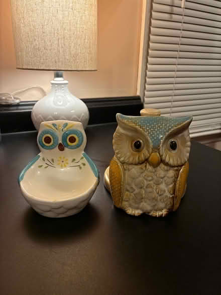Photo of free Paper towel and scrubby holder (Saugerties) #1