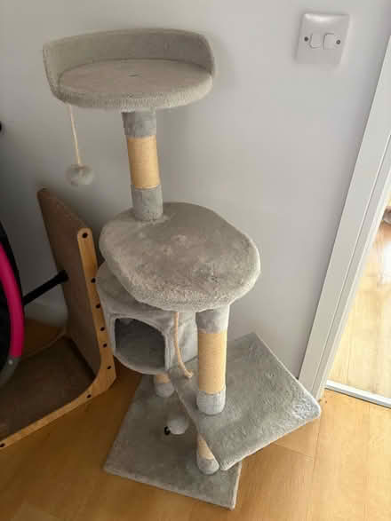 Photo of free Cat tower (Walkley S6) #1