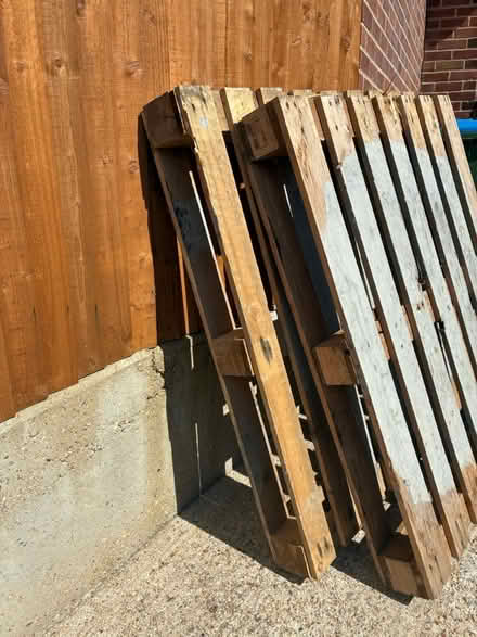 Photo of free Pallets (Portchester) #3