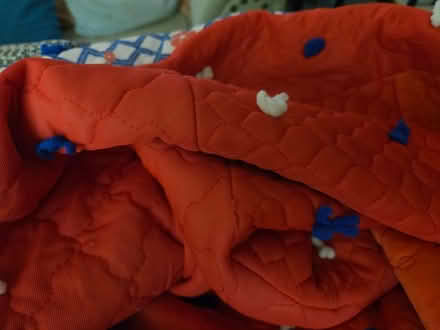 Photo of free twin size blanket (Manville) #1