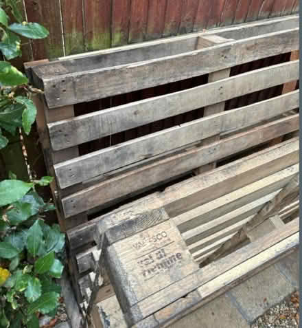 Photo of 2 or 3 sturdy wooden pallets. (Tye Green Village CM18) #1