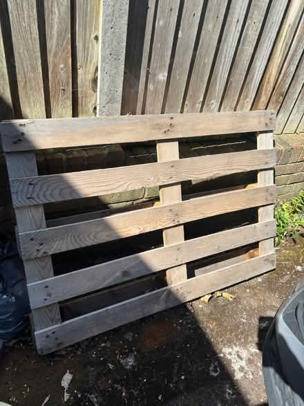 Photo of free Wooden pallet (Eynsford DA4) #1