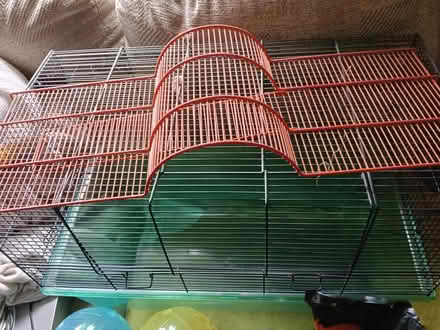 Photo of free Gerbil cage and accessories (Musselburgh EH21) #4