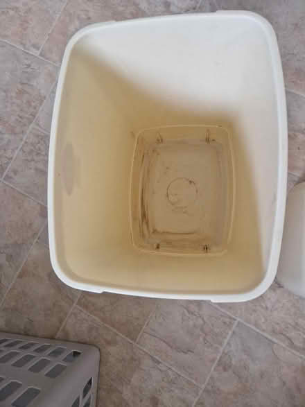 Photo of free Plastic swing bin (Up Hatherley GL51) #2