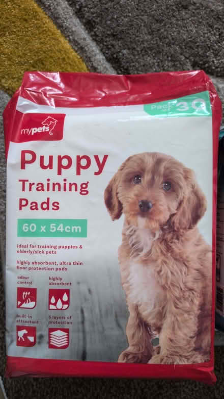 Photo of free Puppy pads (Llangefni LL77) #1