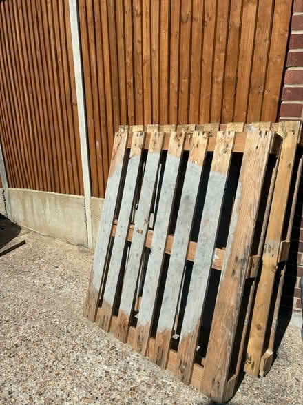 Photo of free Pallets (Portchester) #1