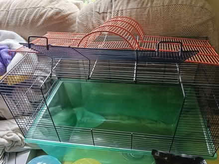 Photo of free Gerbil cage and accessories (Musselburgh EH21) #3