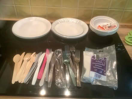 Photo of free Picnic plates and cutlery (Swanley BR8) #1