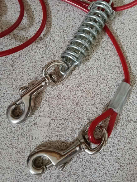 Photo of free Dog tether (Napsbury AL2) #2