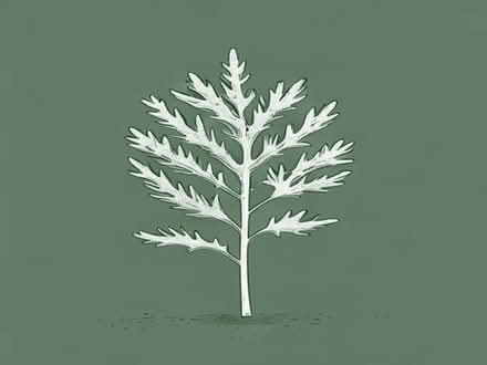 Photo of free Staghorn sumac plant (Brookhouse LA2) #1