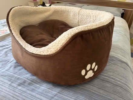 Photo of free Small comfy dog bed (BR5) #2