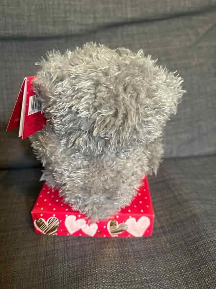 Photo of free Valentine’s Day plush toy (Cardonald, Glasgow, G52) #2