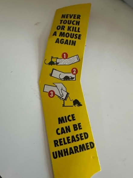 Photo of free 6 x humane mouse traps (Ashford TW15) #3