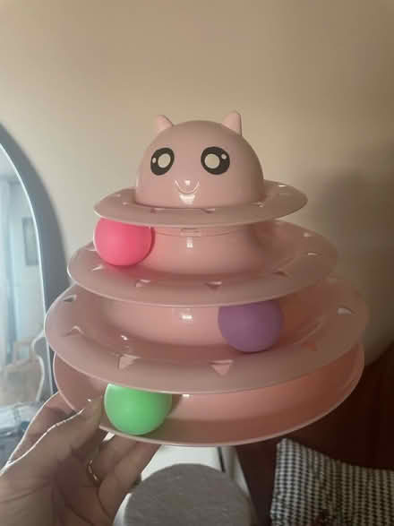Photo of free Kitten toy (Clapton E5) #1