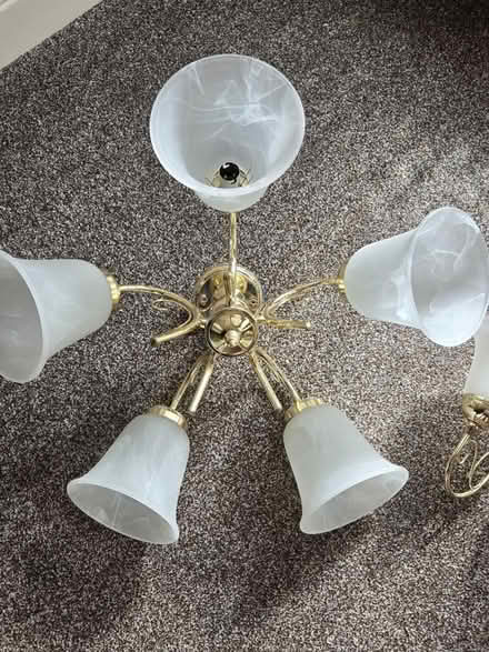 Photo of free Ceiling and Wall Lights (NE10) #1