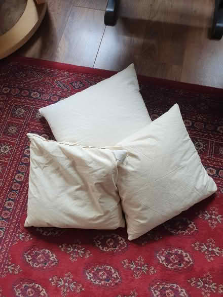 Photo of free Three feather scatter cushions (Pipers Ash CH2) #1