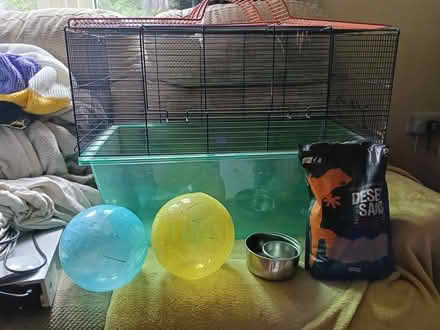Photo of free Gerbil cage and accessories (Musselburgh EH21) #1