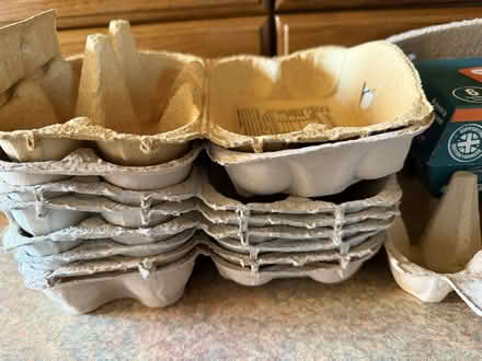 Photo of free Egg boxes (Goring-by-Sea BN12) #1