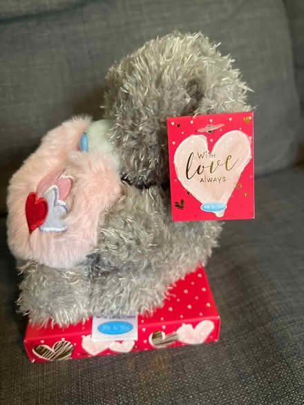 Photo of free Valentine’s Day plush toy (Cardonald, Glasgow, G52) #3
