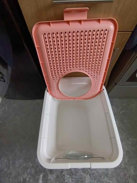 Photo of free XL cat litter box (WF3) #3