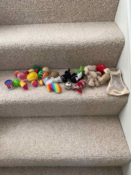 Photo of free Cat/kitten toys (Stubbington) #1