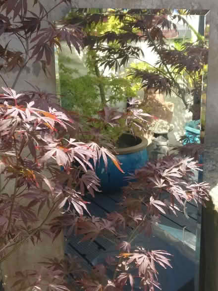 Photo of free Mirror Ideal for garden (Colne, BB8) #1