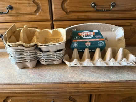 Photo of free Egg boxes (Goring-by-Sea BN12) #2