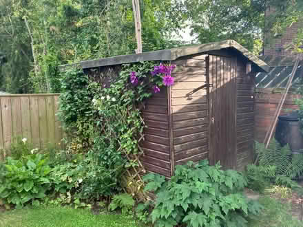 Photo of free Shed (South Gosforth NE3) #1
