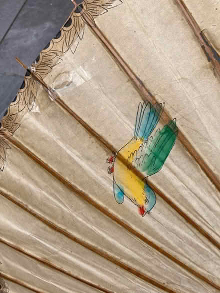 Photo of free Paper parasol (Lower Earley RG6) #4