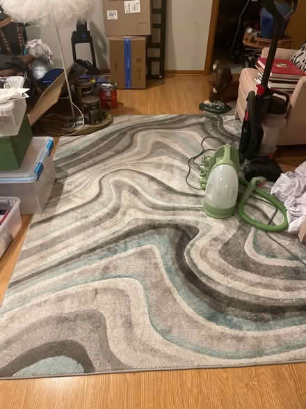 Photo of free rug (Carol stream) #1