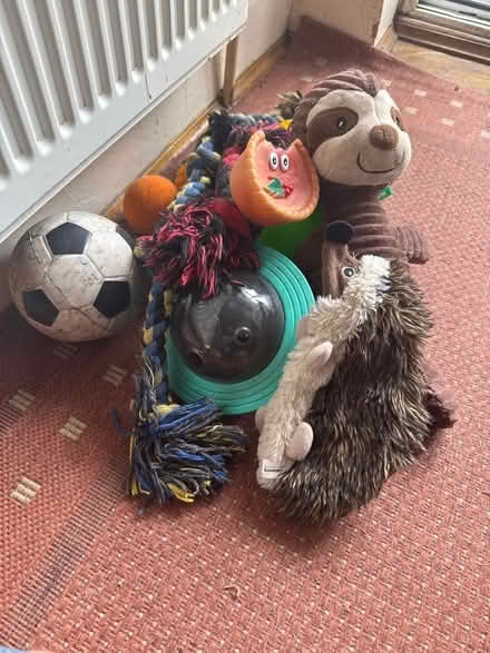 Photo of free Various dog toys (Croydon/West Wickham) #1