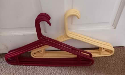 Photo of free Coat hangers (Raymond's Hill EX13) #1