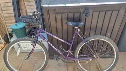 Photo of free Bicycle (Hayling Island PO11) #1