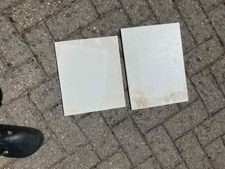 Photo of free 2 white wall tiles (Weston Park BA1) #1