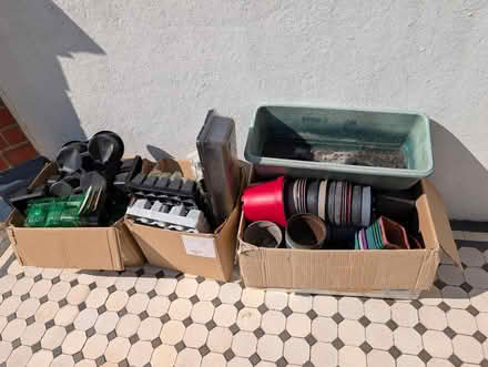 Photo of free Plastic plant pots & geraniums (Hove BN3) #1