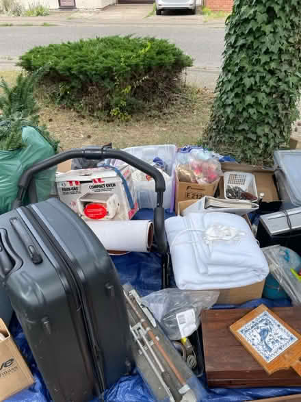 Photo of free Various (Mistley CO11) #3