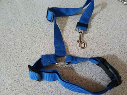 Photo of free Adjustable dog tether for car (Napsbury AL2) #3