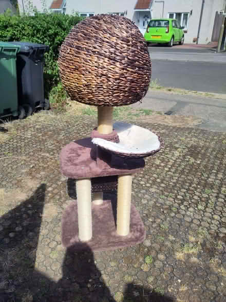 Photo of free Cat gym (Henley-on-Thames RG9) #2