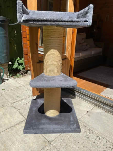 Photo of free Large cat tree (Radstock, Holcombe BA3) #1