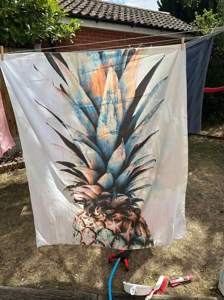 Photo of free Large pineapple wall silk (Tiptree, Essex CO5) #1